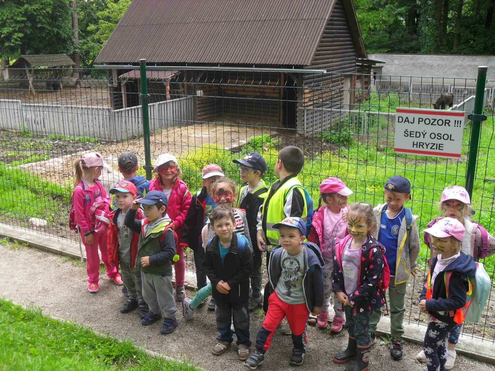 Fotogaléria Materská škola MDD 2019 (56) Materská škola MDD 2019